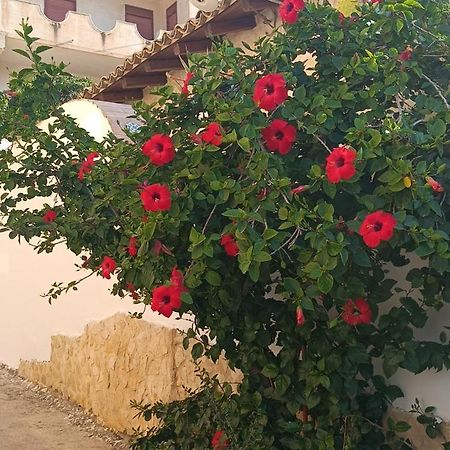 레알몬테 Al Faro B&B 외부 사진