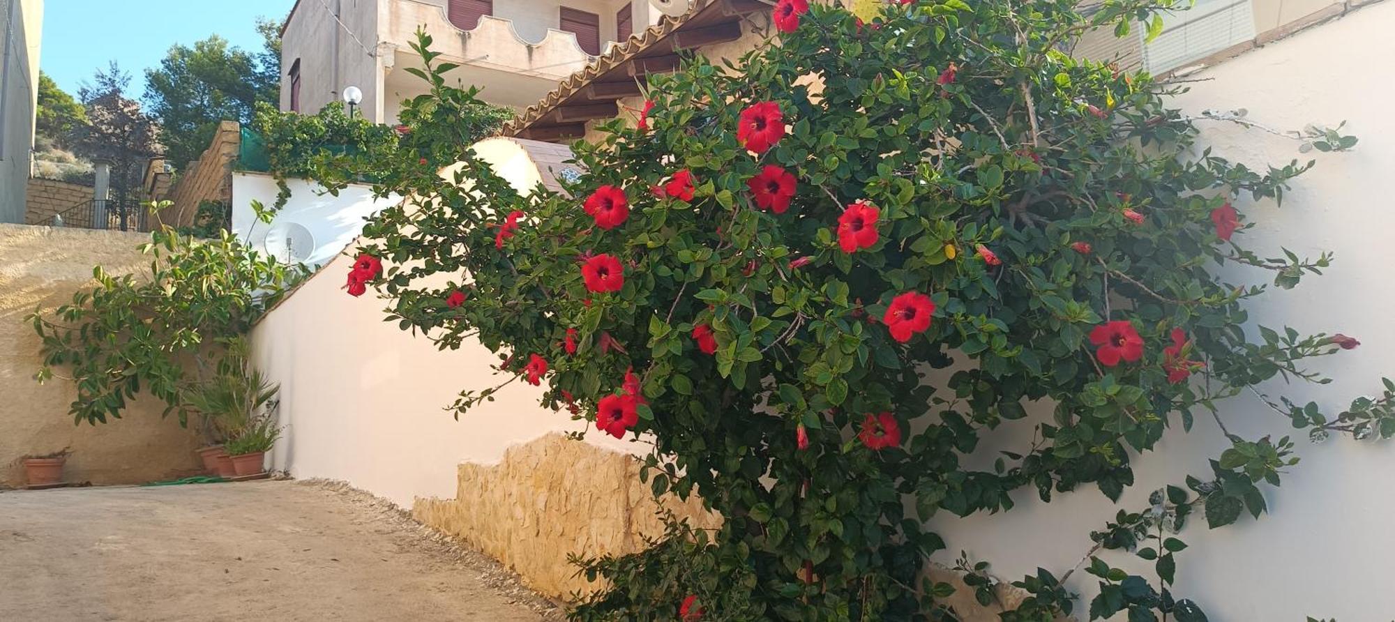 레알몬테 Al Faro B&B 외부 사진